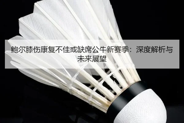 鲍尔膝伤康复不佳或缺席公牛新赛季：深度解析与未来展望